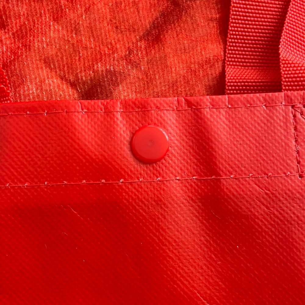 Lululemon Set Of Two Large And Small Shopping Bags - image 5